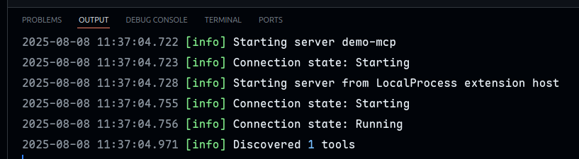 Starting the MCP Server