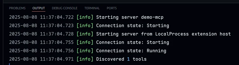 Starting the MCP Server